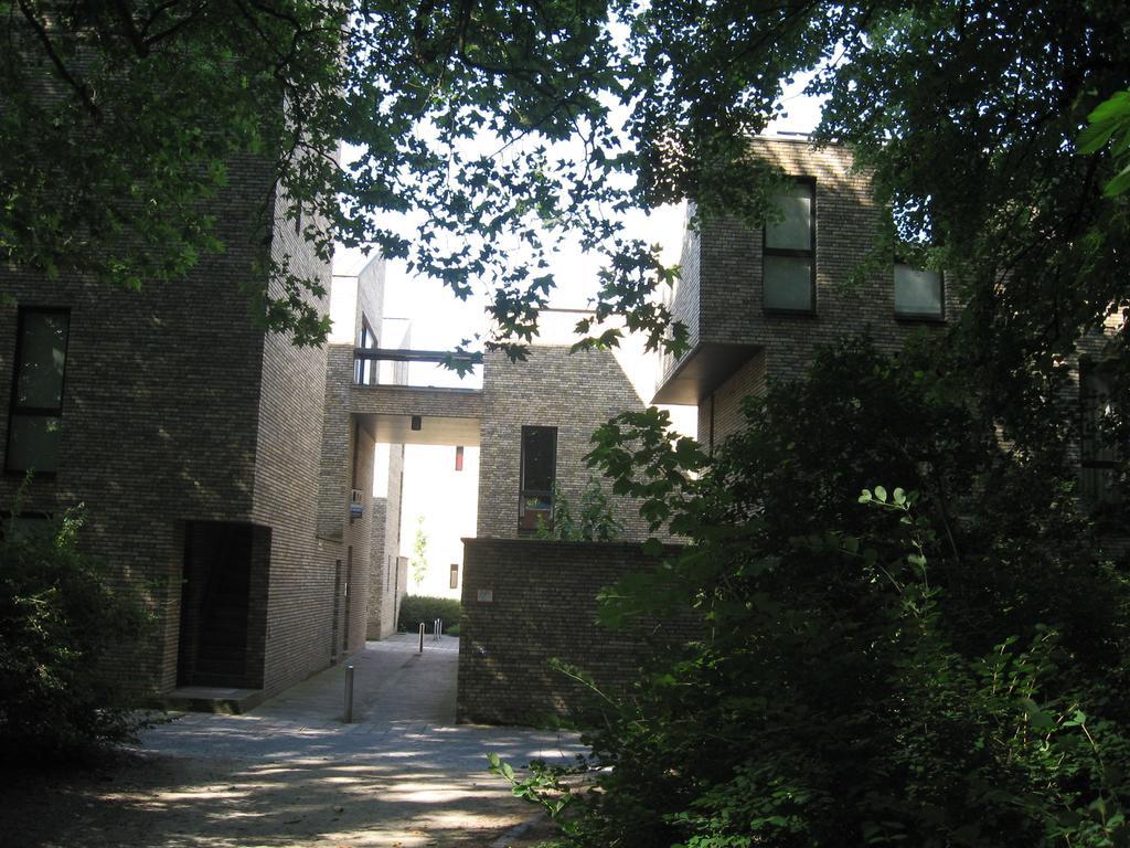 Apartment Design Pandreitje *